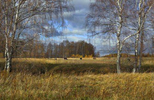 Осенний моцион