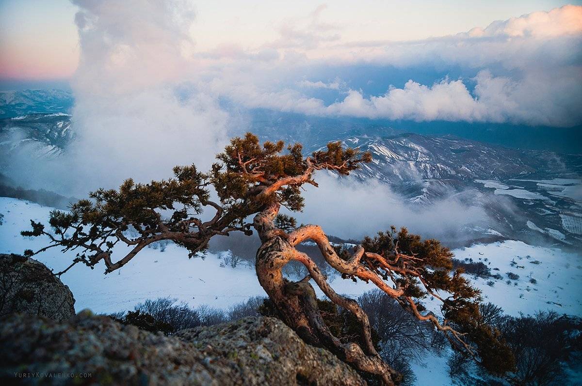 крым, Юрий Коваленко