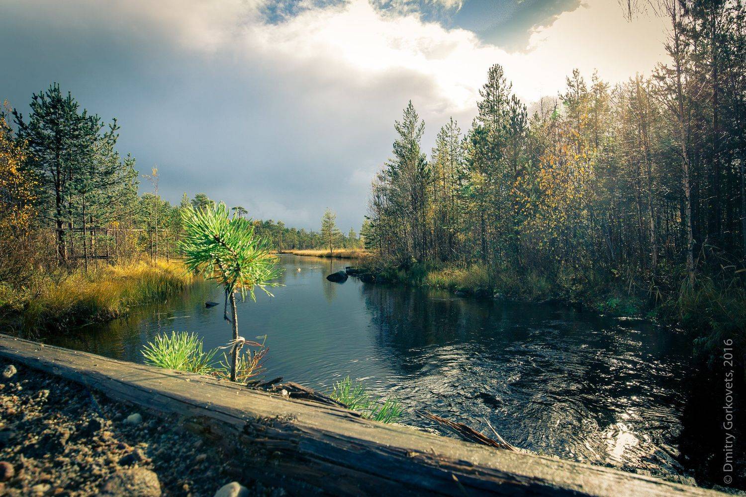 #карелия #пейзаж #karelia #landscape #photobydmitrygorkovets, Горковец Дмитрий