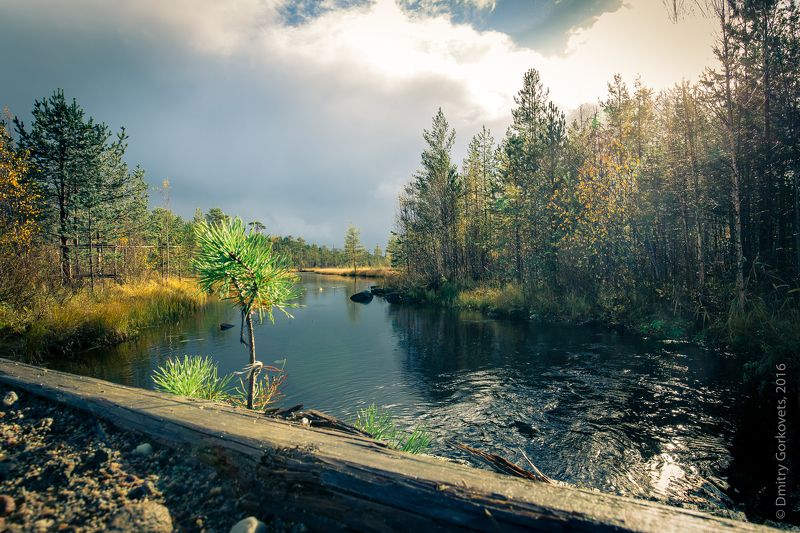 #карелия #пейзаж #karelia #landscape #photobydmitrygorkovets Безымянный ручей. Noname stream. Karelia. Russia, autumn 2017.   фото превью