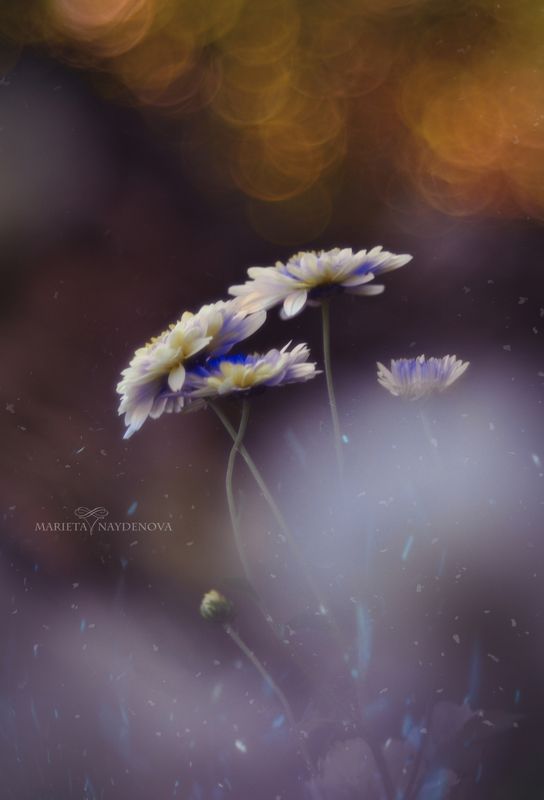 Touched by the sun фото превью