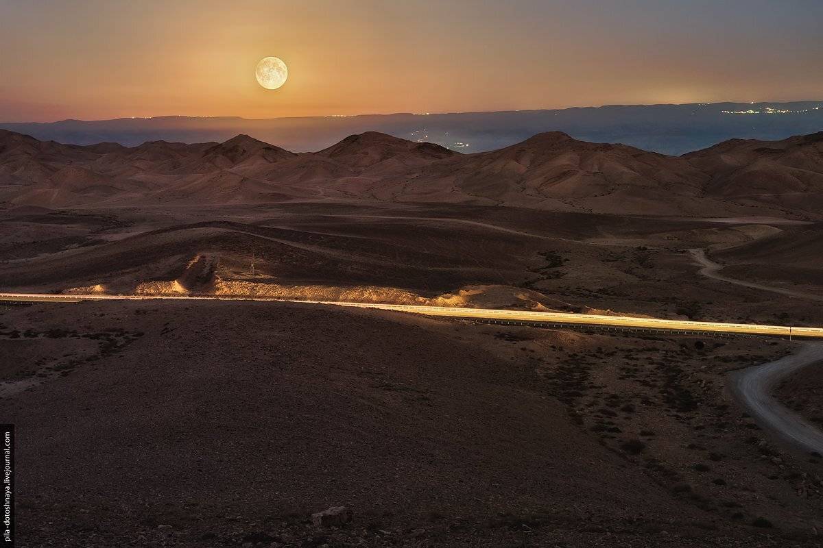 , Анна Аринова