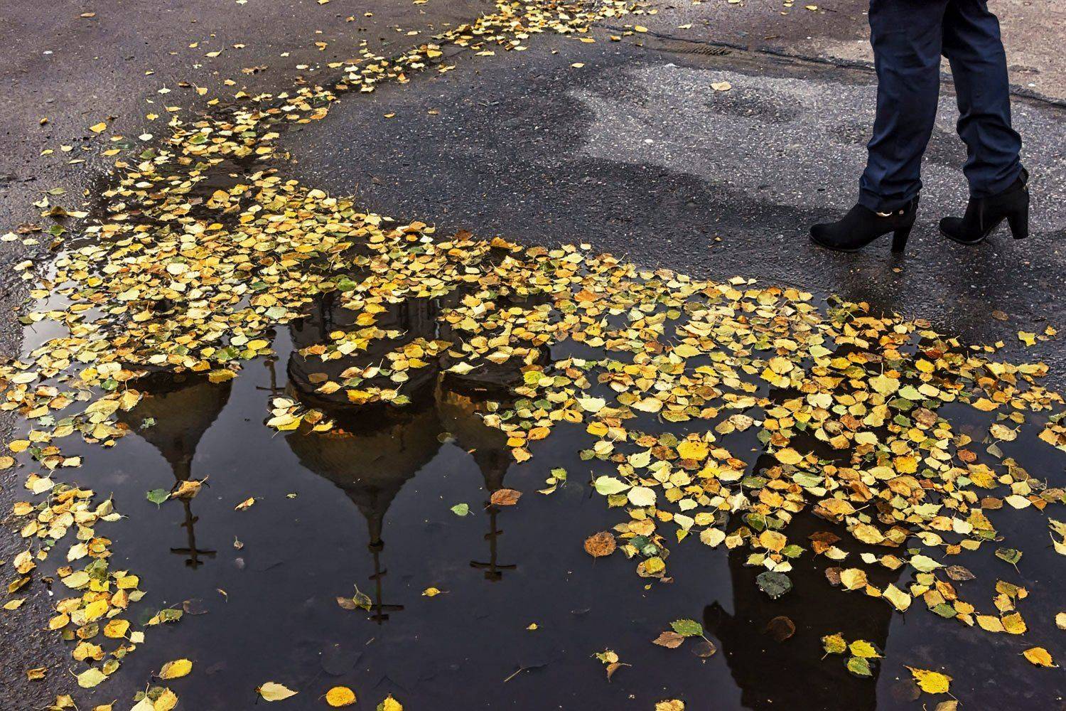 осень город лужа отражения листья желтые асфальт ноги, Ра Вера