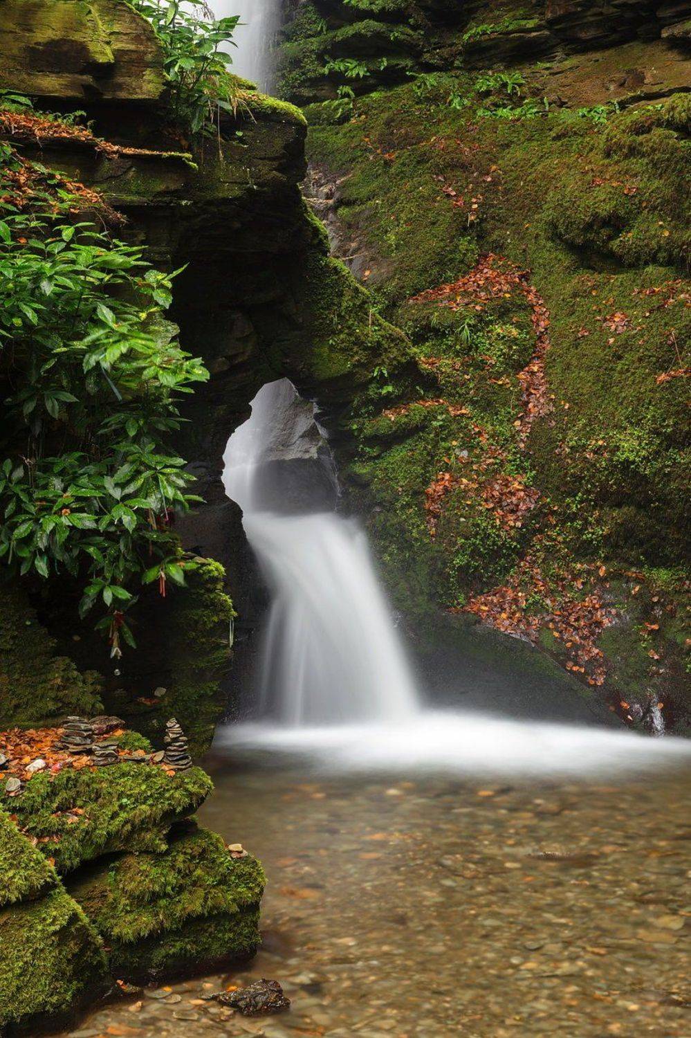 , Александър Сандев