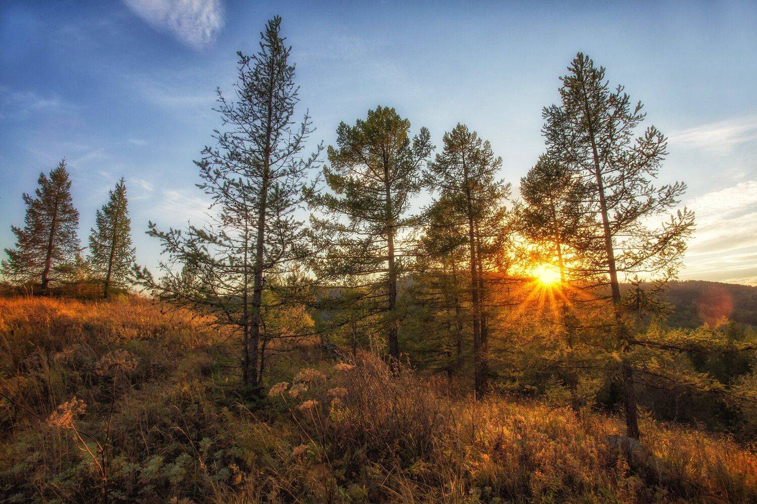 , Павел Сагайдак