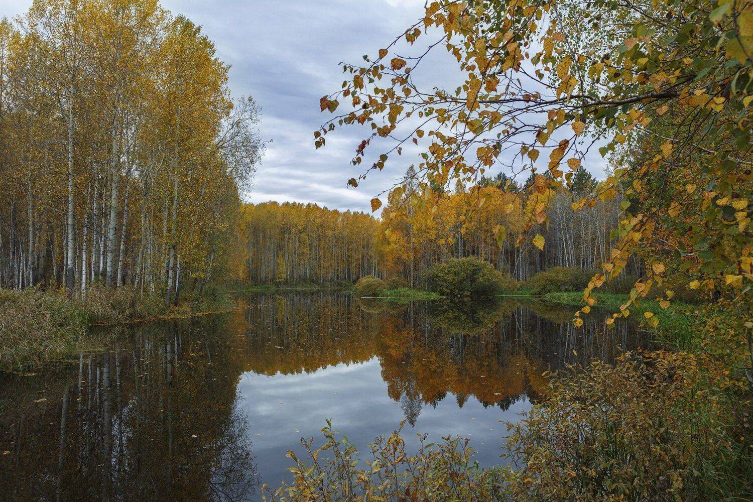 , Шевченко Николай