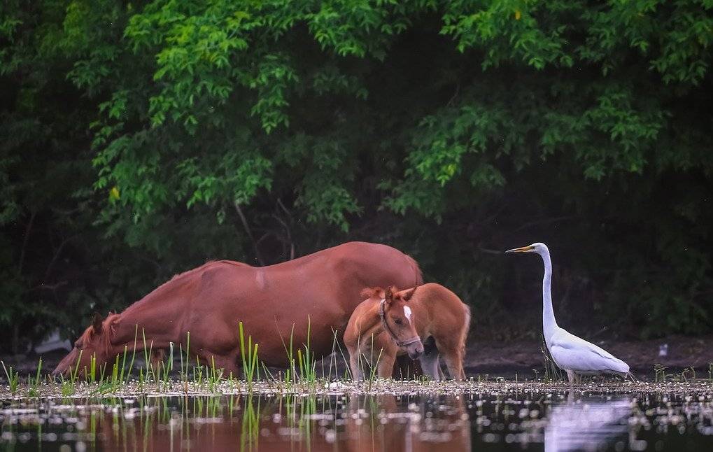 , Вячеслав Мищенко