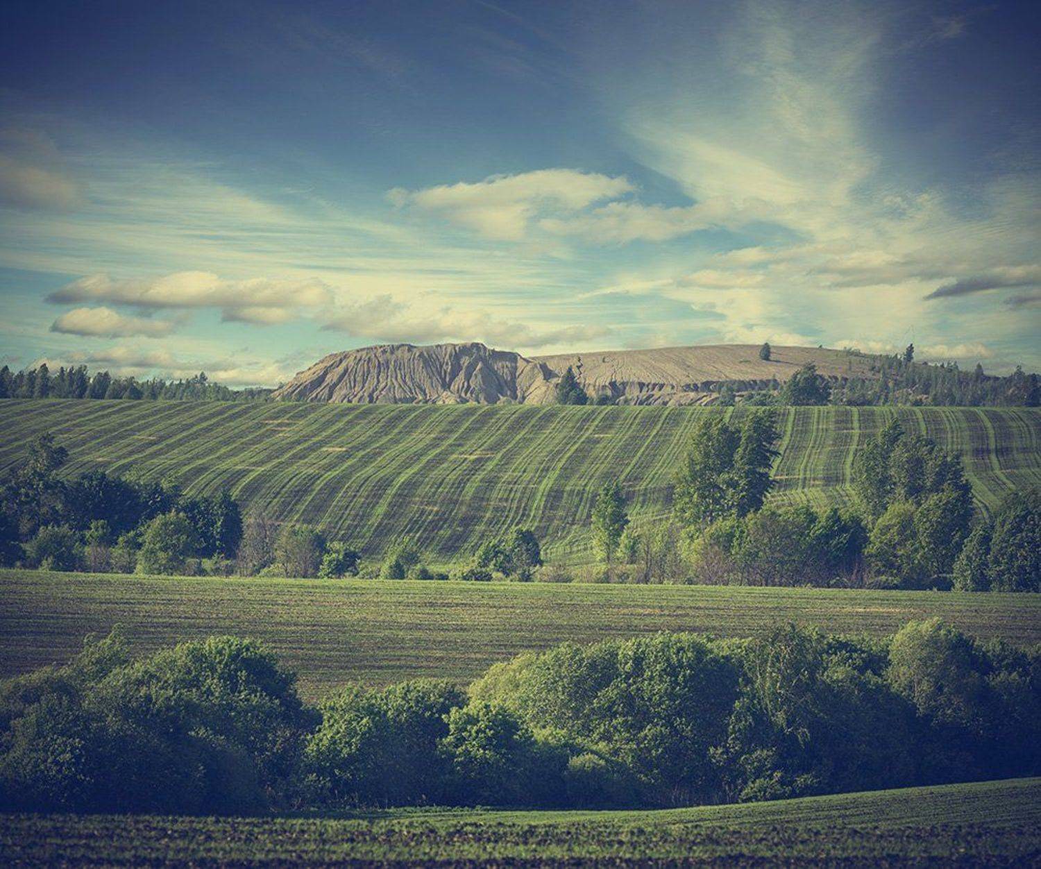 , Анатолий Зверев