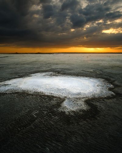 Эльтонские хроники