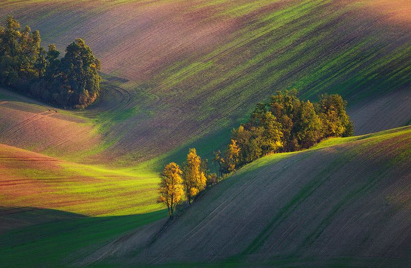 Colors of autumn фото превью