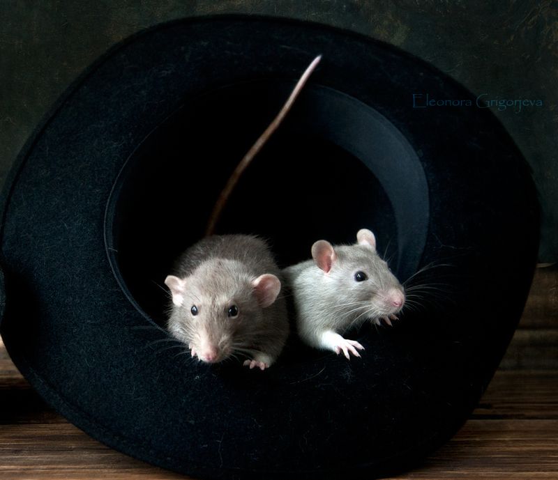 Жизнь налаживается фото превью