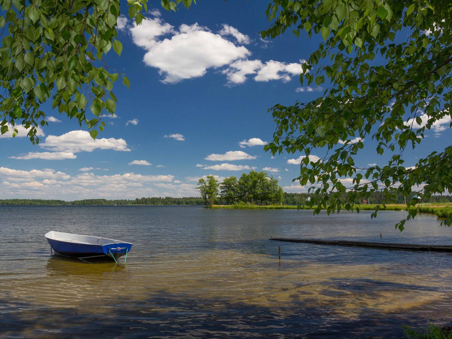 валдай, Тимофей Шутов