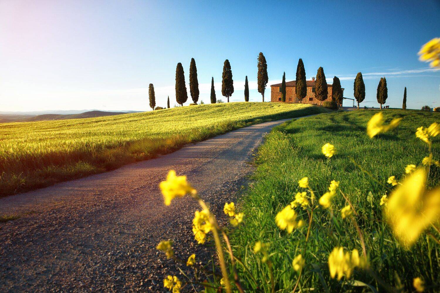 тоскана, италия, вилла, поле, пейзаж, воробей, пьенца, Воробей Дмитрий