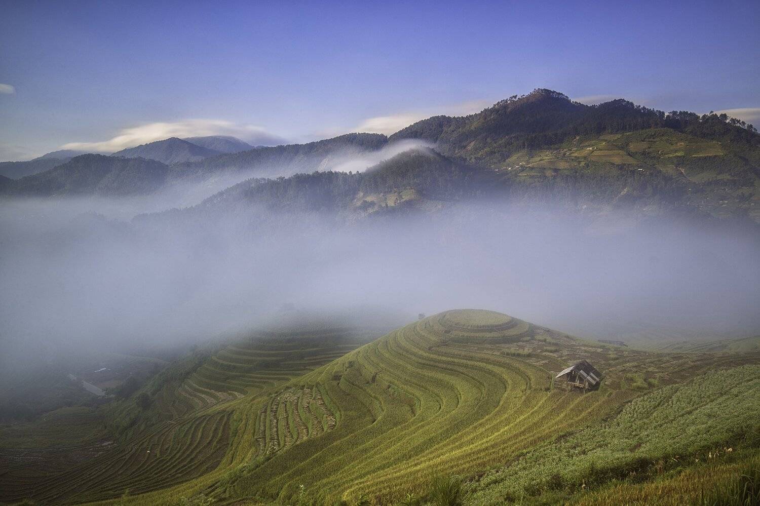 , vannguyenhop29@gmail.com