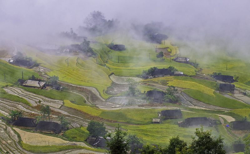 Ban Phung фото превью