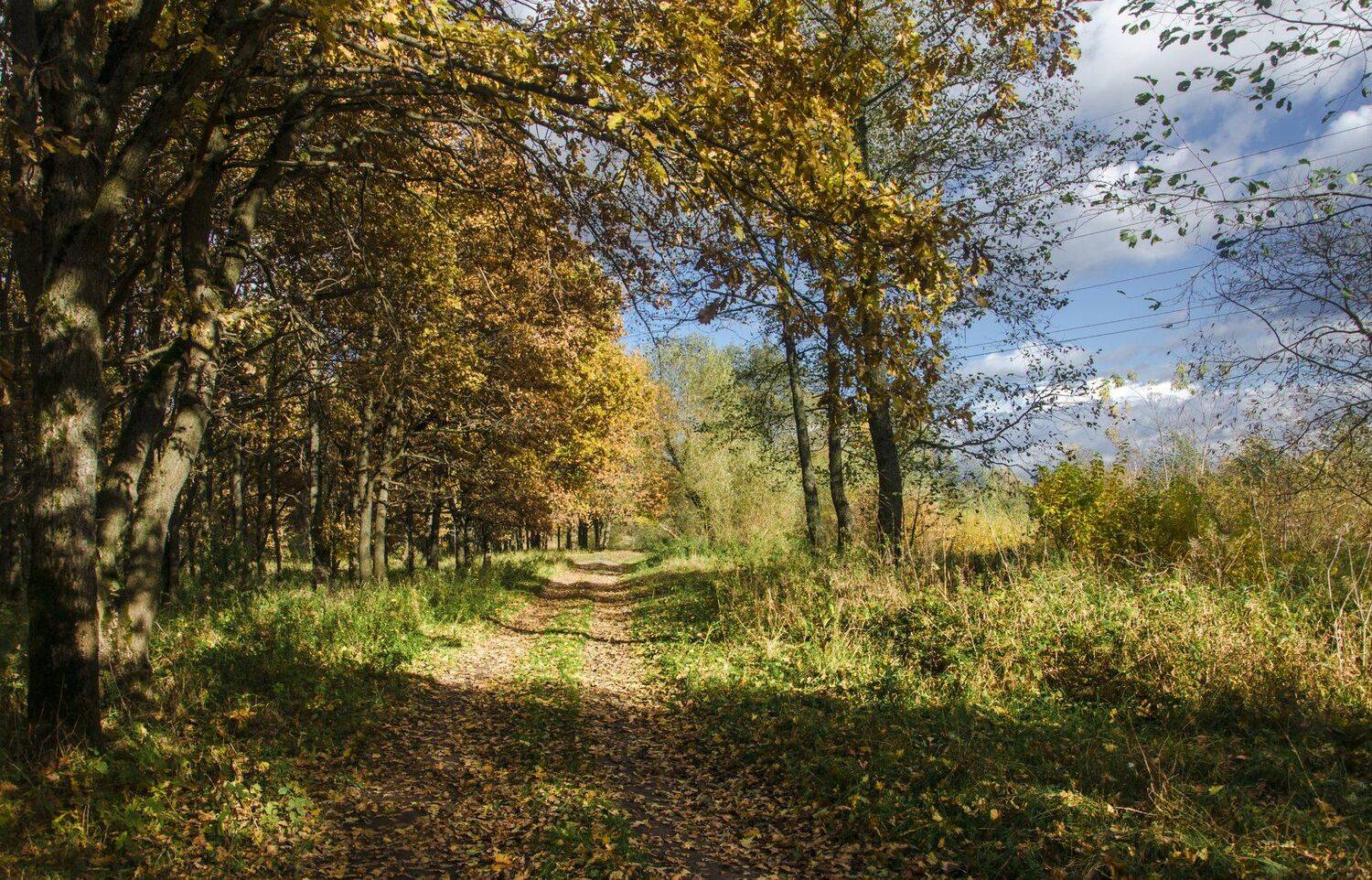 nevant60, березуцкий, _александр, природа, красота, пейзаж, путешествия, Александр Березуцкий