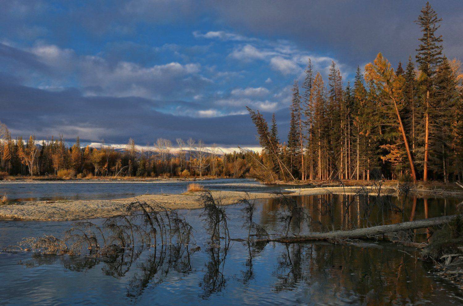 сибирь, алтай, горный алтай, чуя, осень, утро, Галина Хвостенко