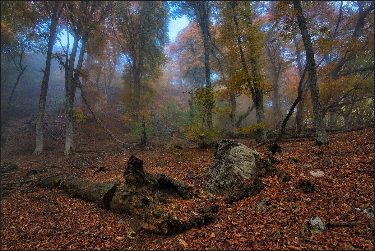 крым, осень, демерджи, АНАТОЛИЙ ДОВЫДЕНКО