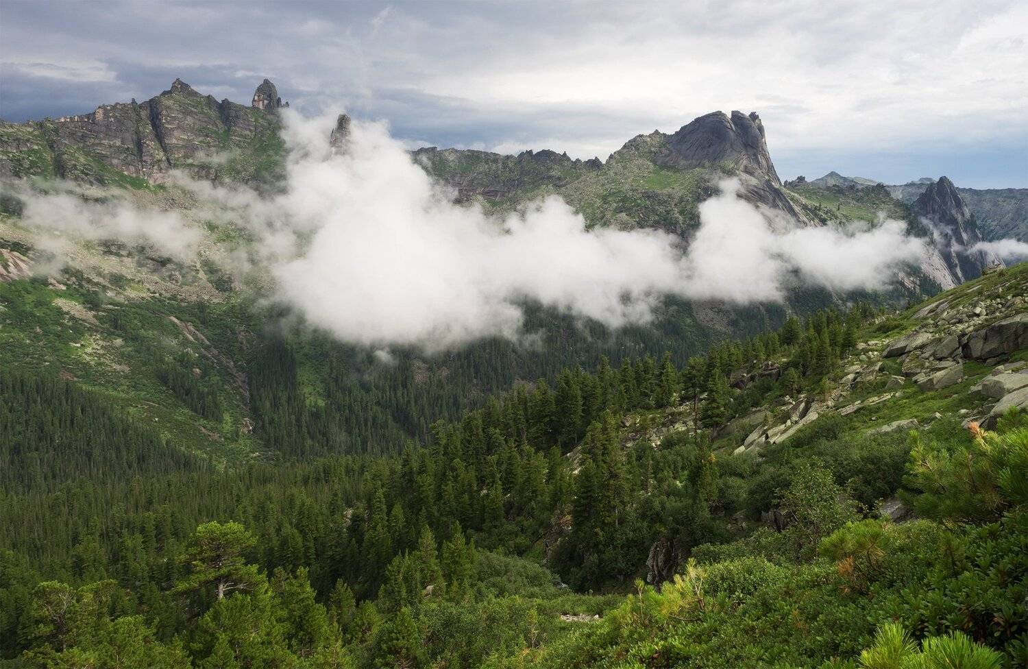 , Лещёнок Александр