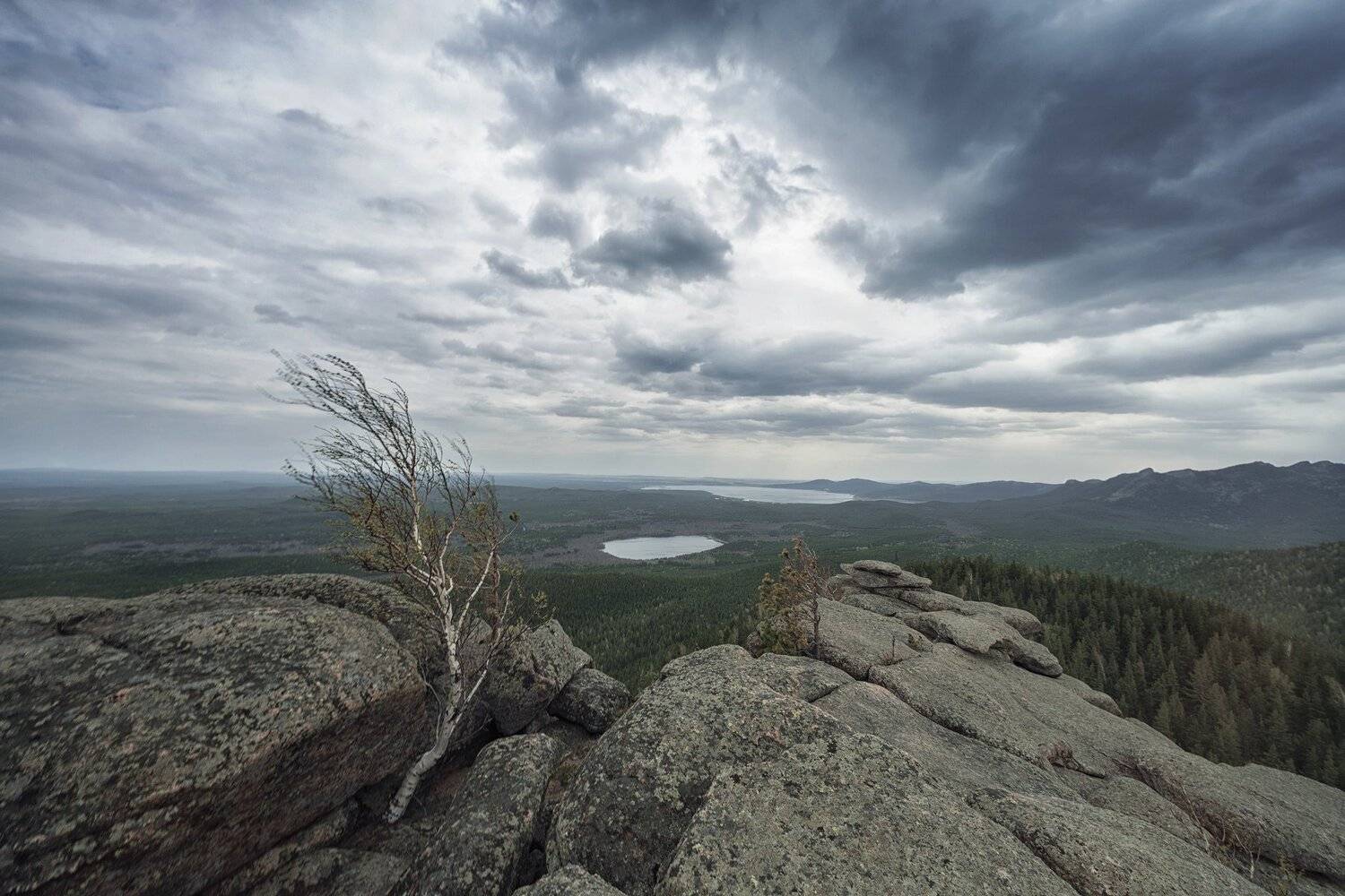 , Шевченко Николай