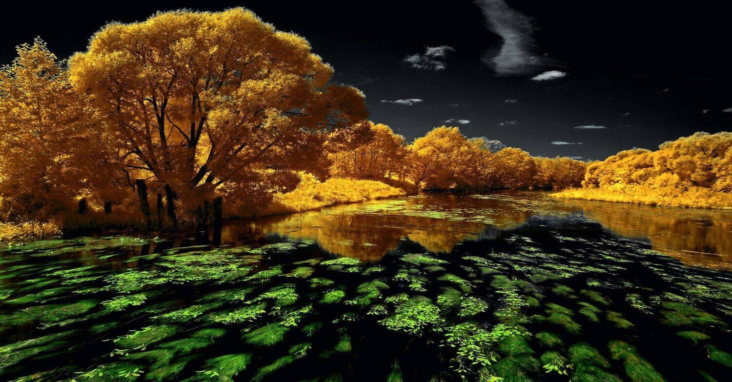 infrared,ик-фото,инфракрасное фото,инфракрасная фотография,пейзаж,природа,беларусь,лето, Sixten ( Сергей )
