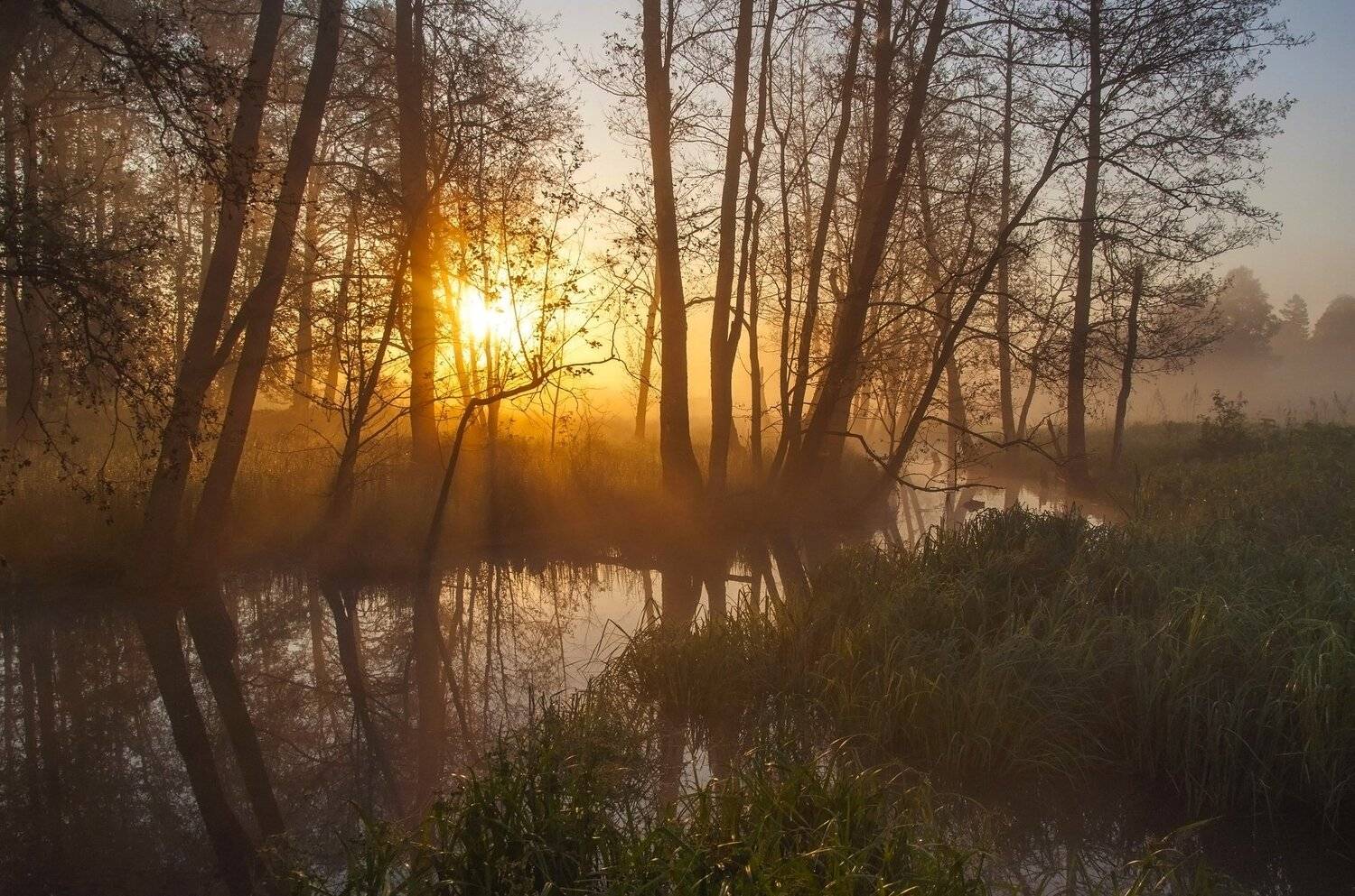восход, грумант., Макеев Алексей