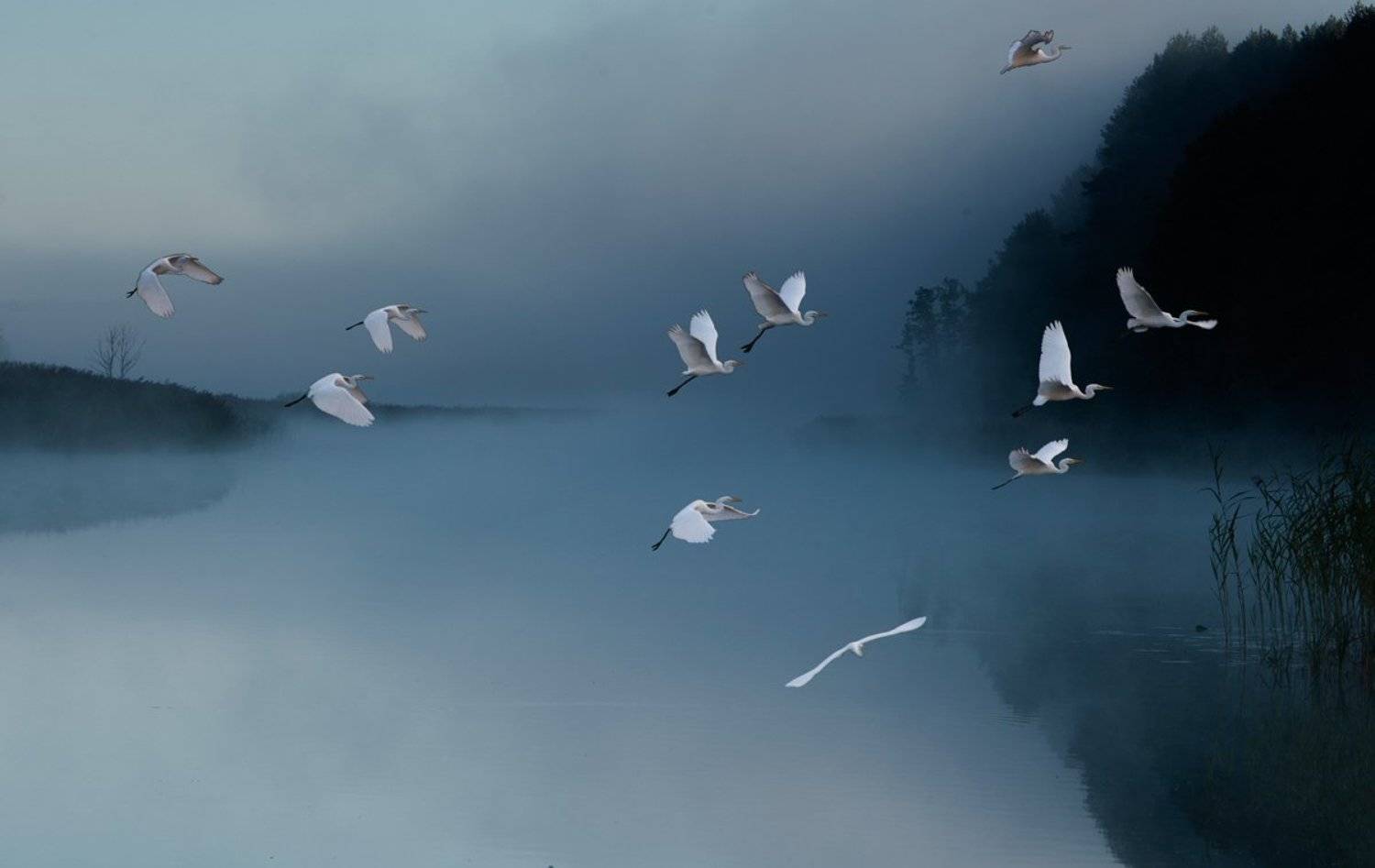 , Валерий Кондратов