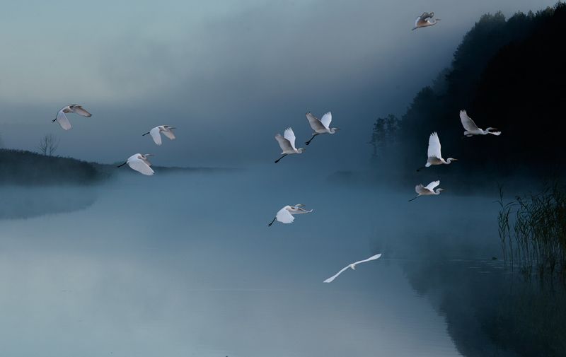 *** фото превью