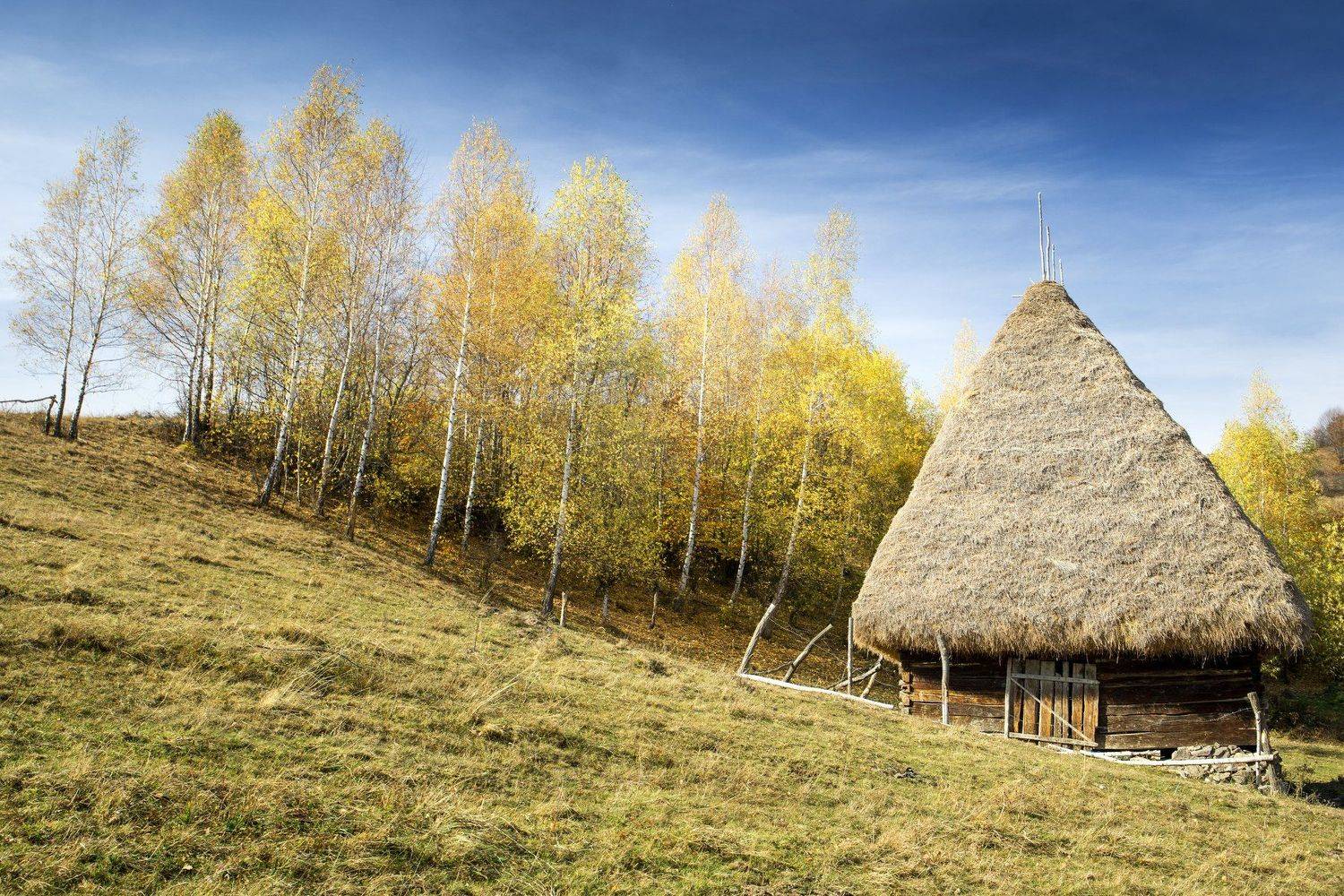 house,autumn,colors,fall,trees,hills,apuseni, Marius Turc