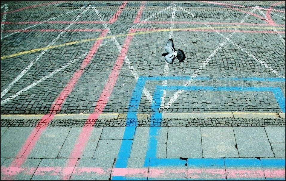 , Krzysztof Trojanowski