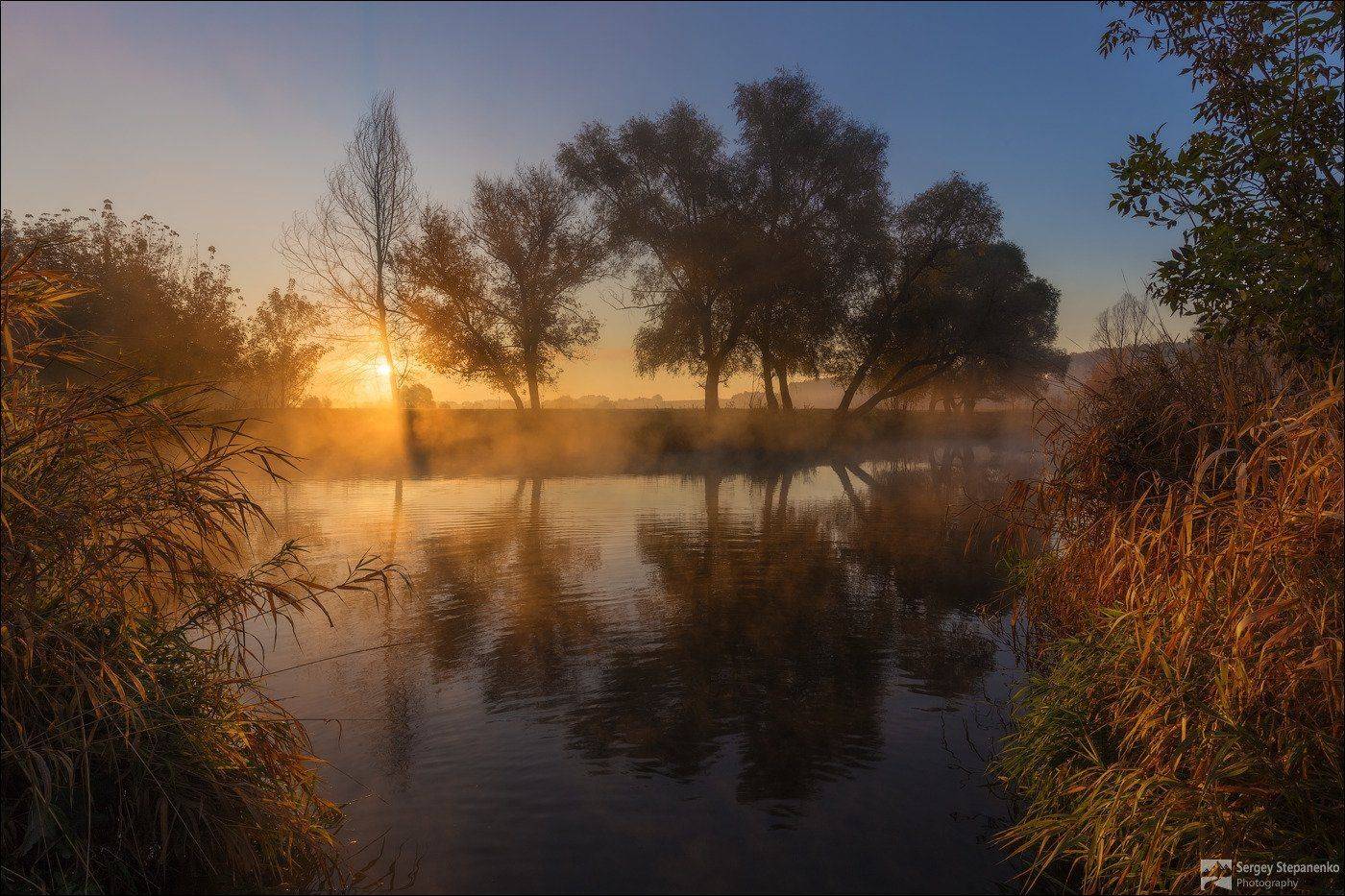 , Sergiy Stepanenko