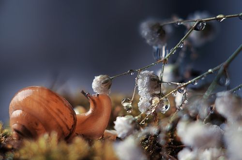 Выпила капельку