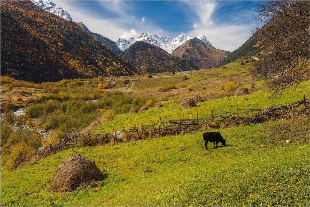 Таймази, трисестры, Урух, осетия, алания, осетияалания, дигорское, кутыгин, золотая, осень, золотаяосень, россия, , Кутыгин Эдуард