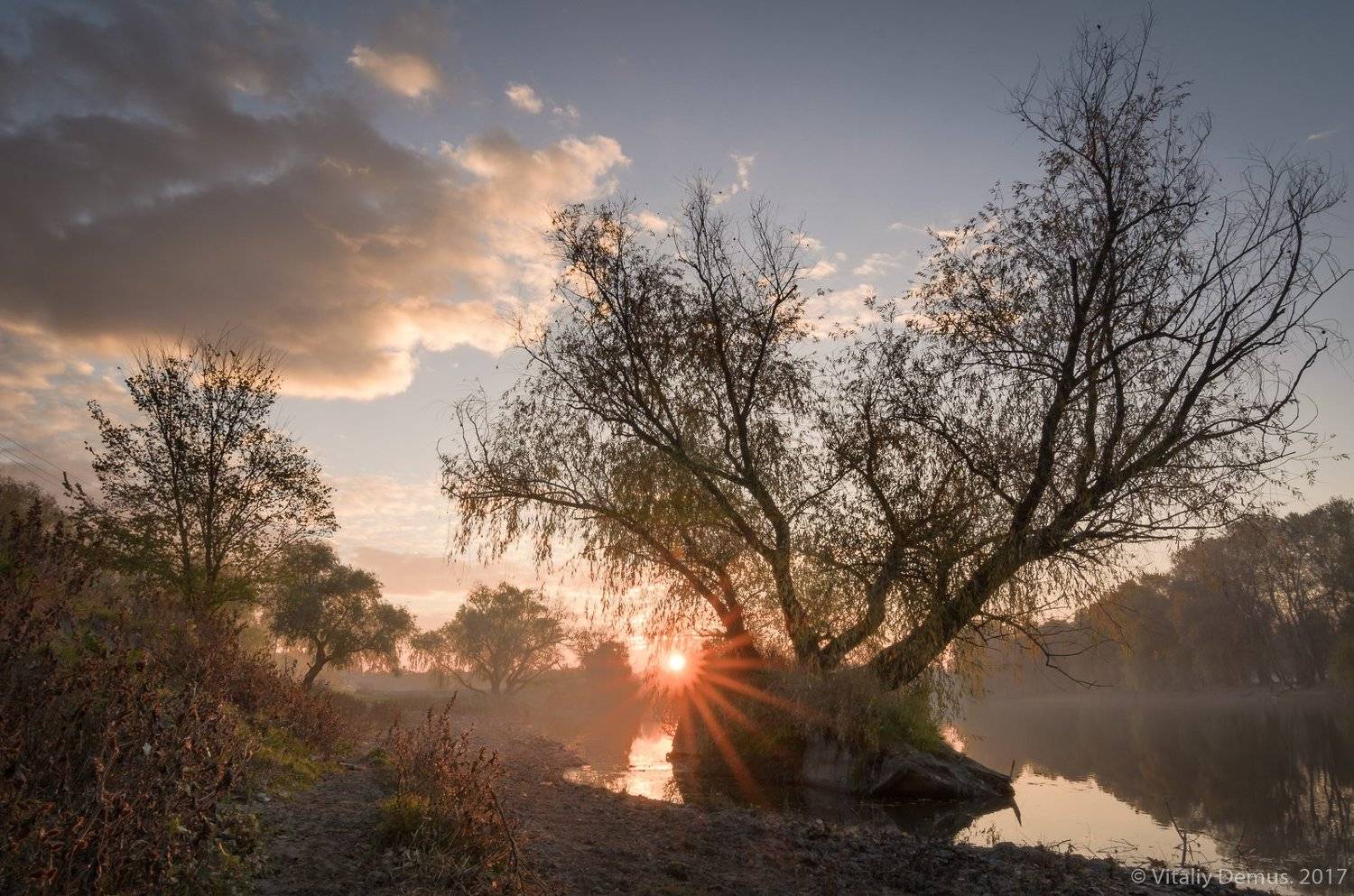 река, рассвет, осень, отражения, солнце, свет, дерево, деревья, дымка, Виталий