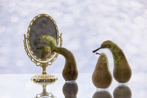 Фруктовые истории