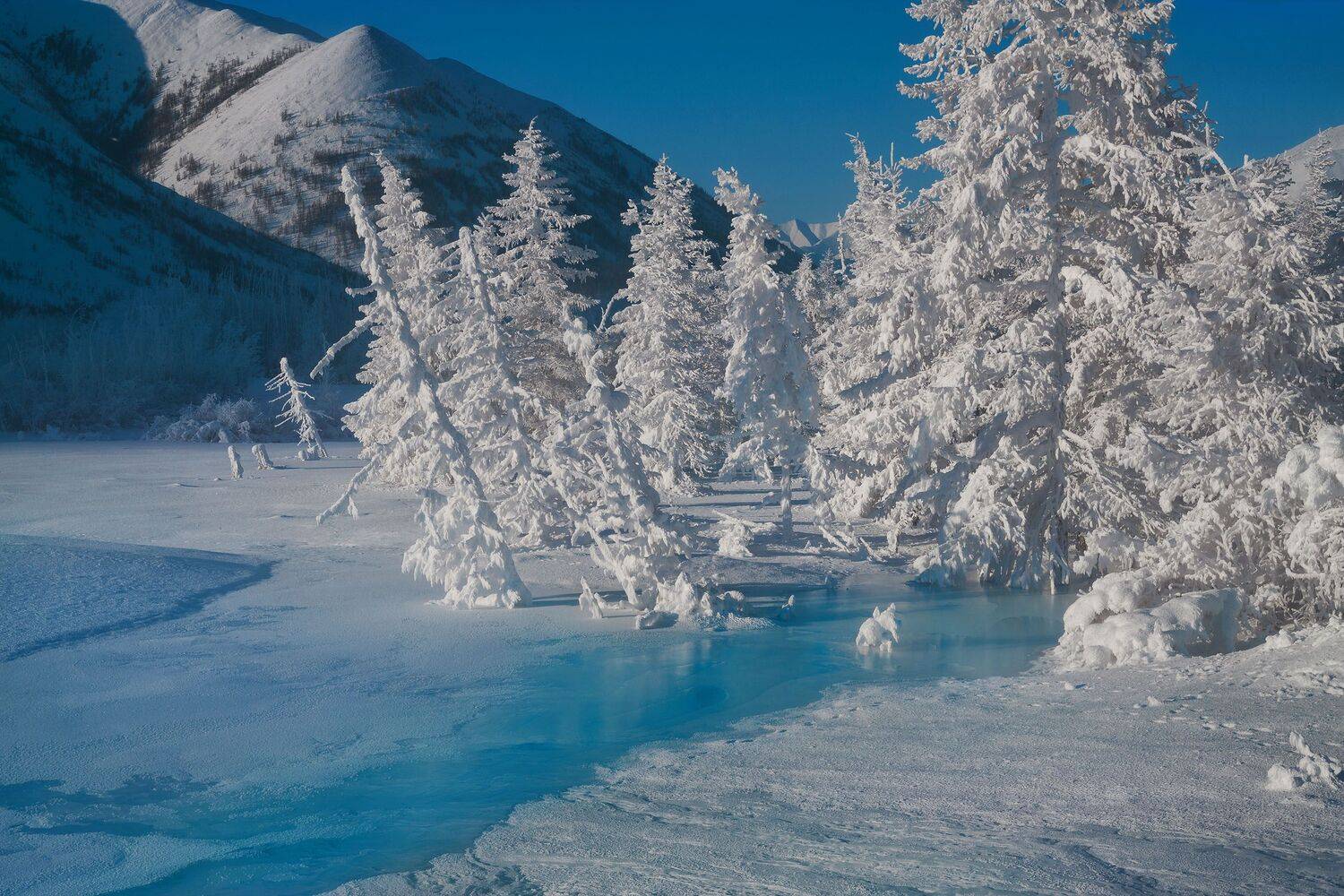 Республика Саха, Якутия, зима, фототуры в Якутию, фототуры., Владимир Рябков