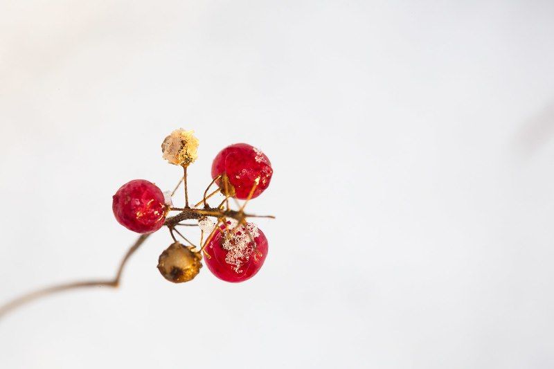 тишина фото превью