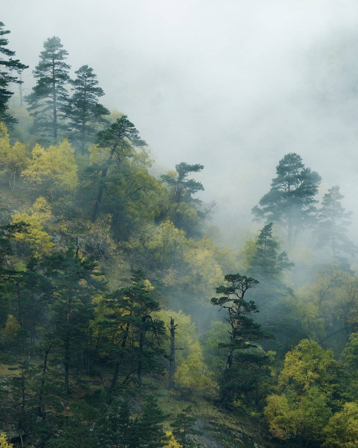 россия, кавказ, северная осетия, горы, ущелье, дигория, рассвет, сумерки, природа, хребет, скалы, небо, река, ледник, туман, облака, Оборотов Алексей