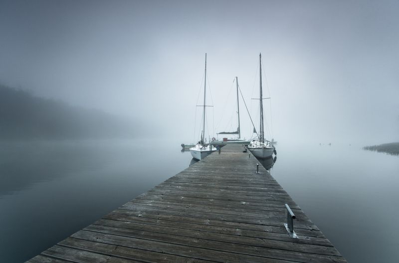 In the fog фото превью