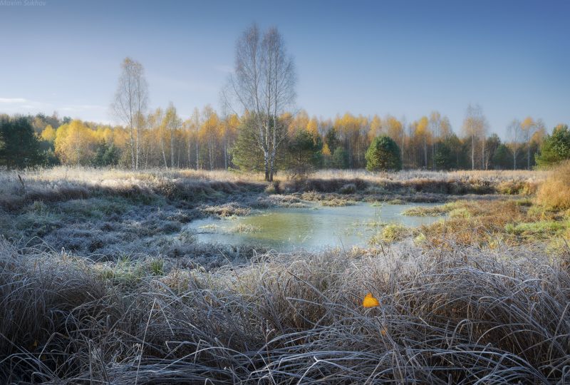 озеро, иней, трава, осень, заморозки, утро, холод, предзимье Морозное утро фото превью
