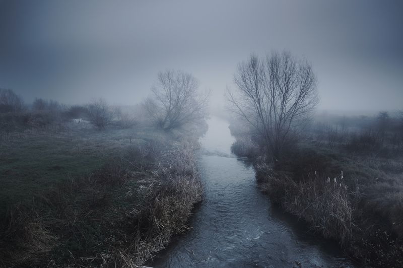 Into the mist фото превью