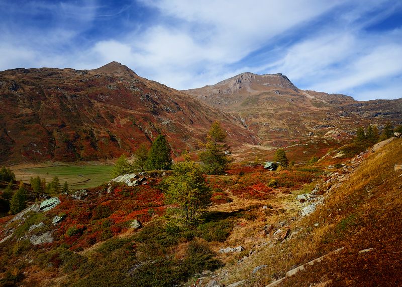перевал симплон, альпы crimson carpets фото превью