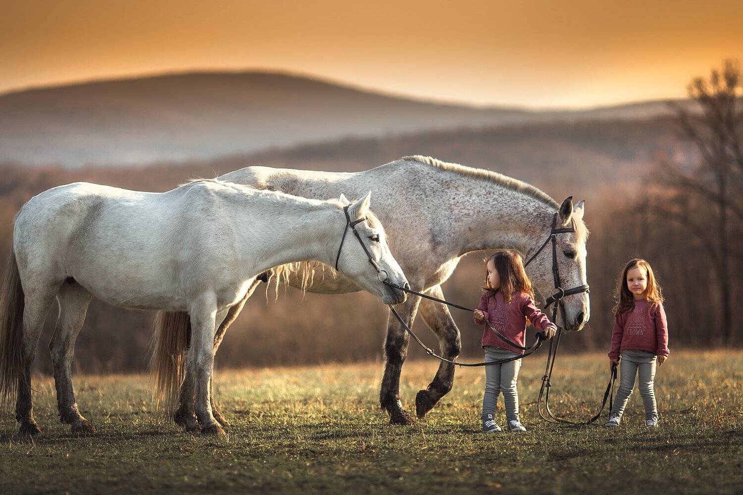 , Анюта Онтикова