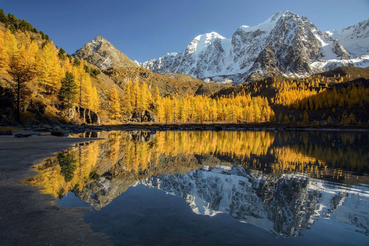 алтай,осень, Алексей Кретов