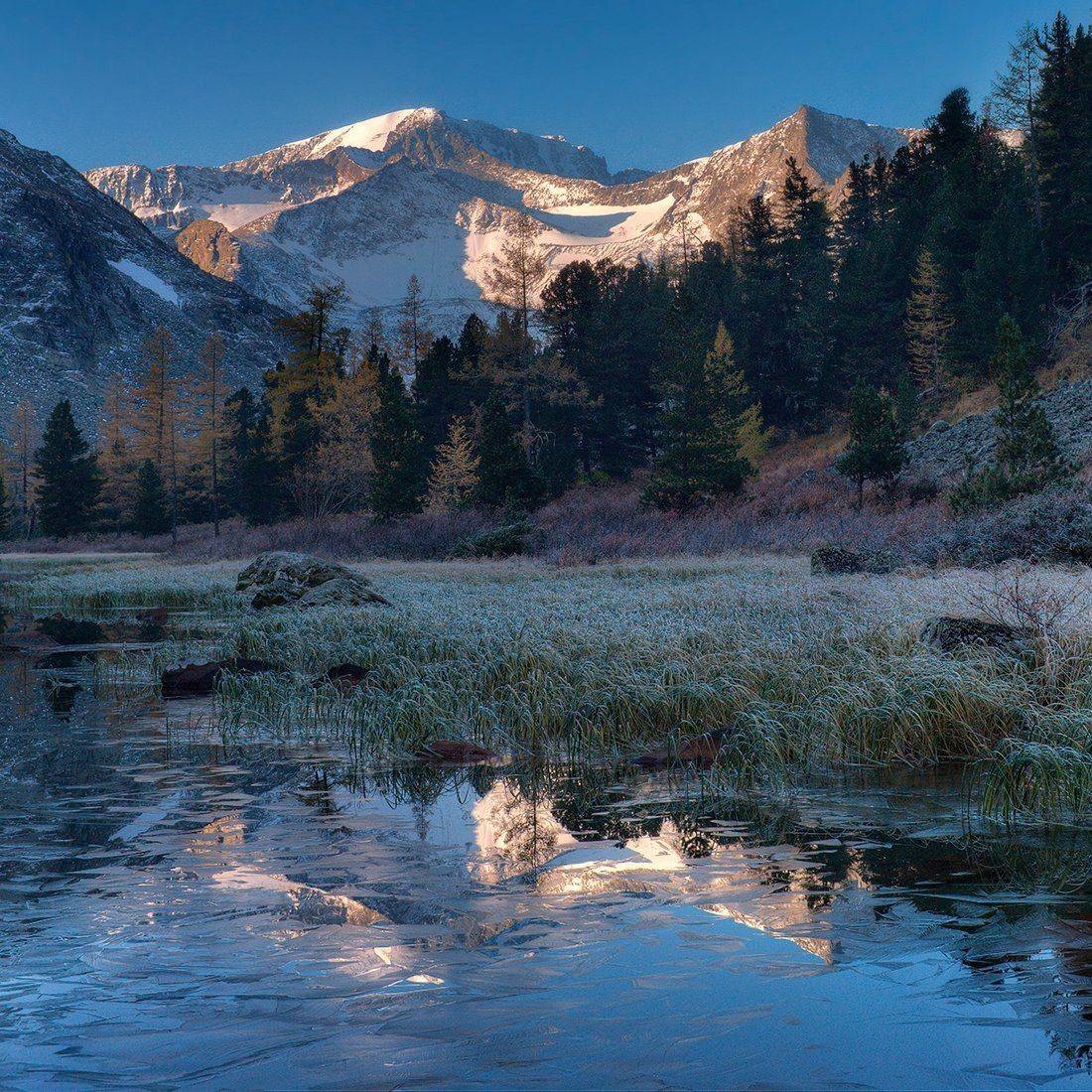, Алексей Родак