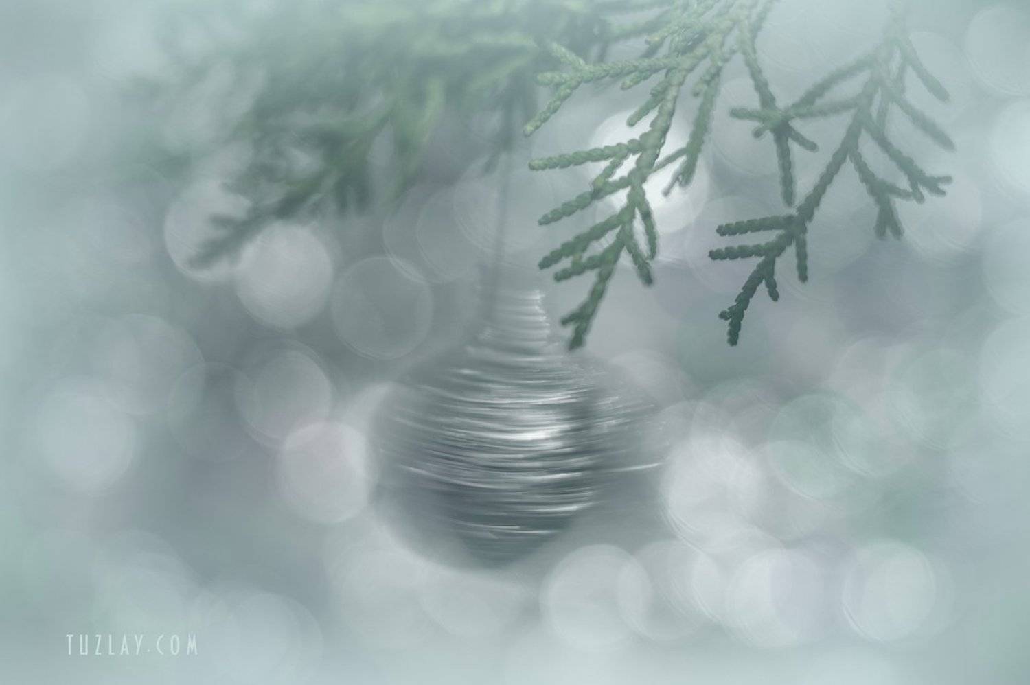 новый год, Владимир Тузлай