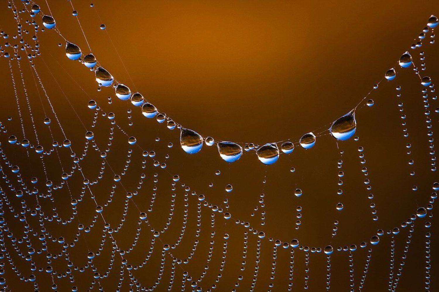 , Вячеслав Мищенко