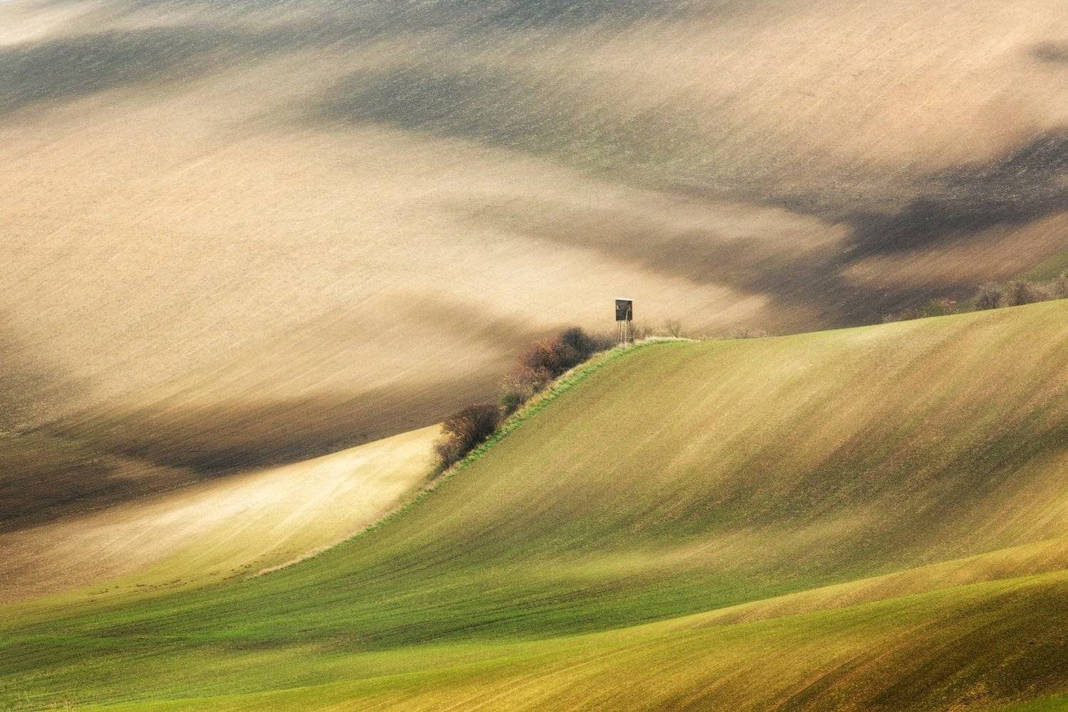 чехия, моравия, поля, осень, природа, пейзаж, день, земля, czech republic, moravia, fields, autumn, nature, landscape, Evgeniy Sh.