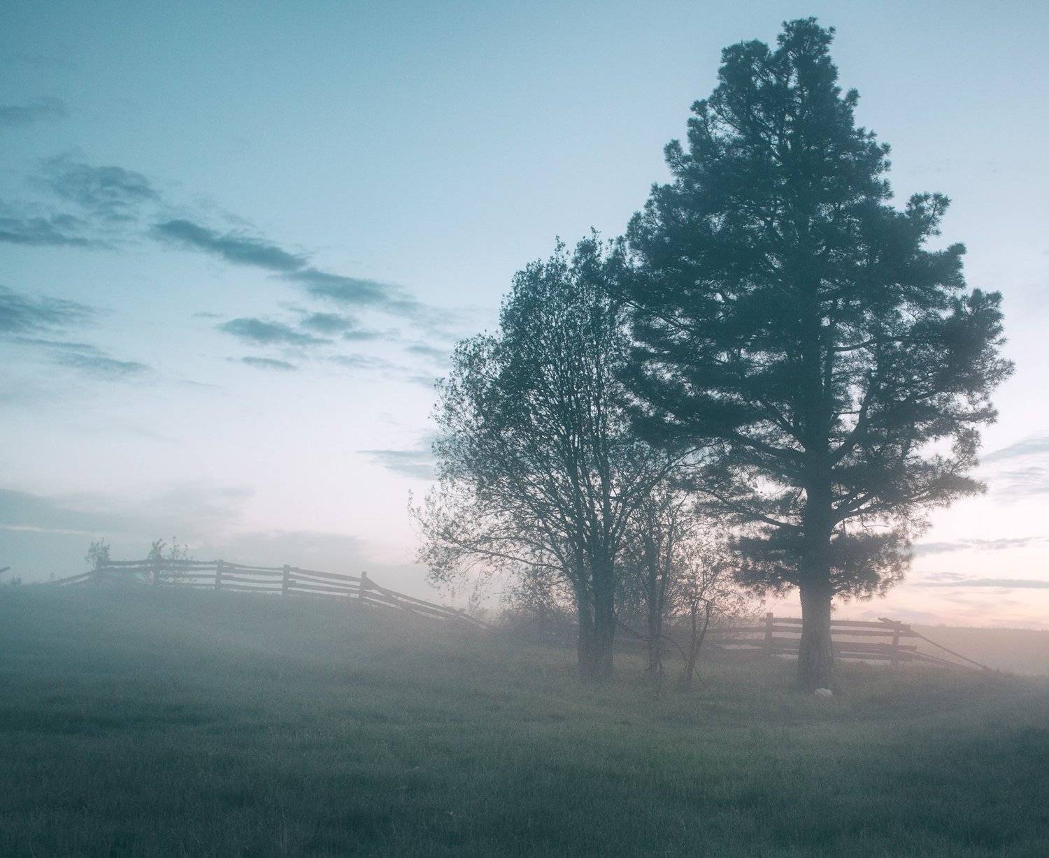 , Федотов Сергей