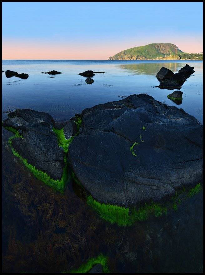 , Владимир Метцгер